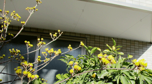 230227sansyu-7.gif