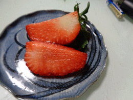 240220itigo-4.gif