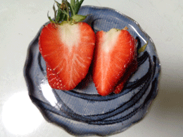 240220itigo-5.gif