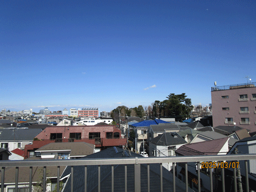 250306sora-3.gif