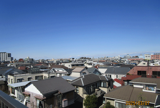 250306sora-4.gif