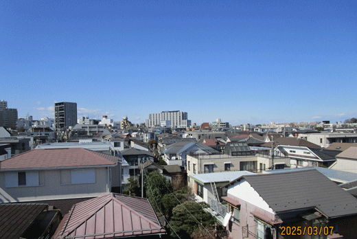 250306sora-5.gif