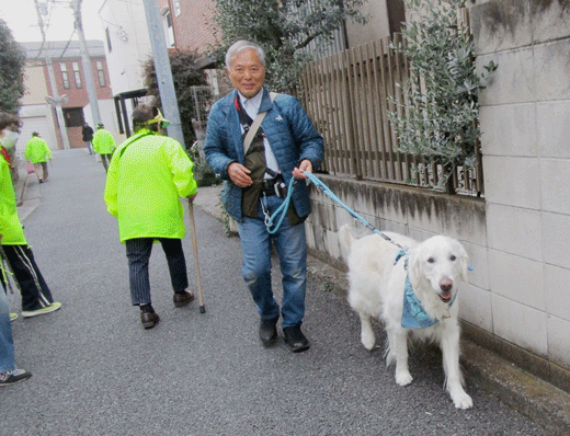 250313inu-2.gif
