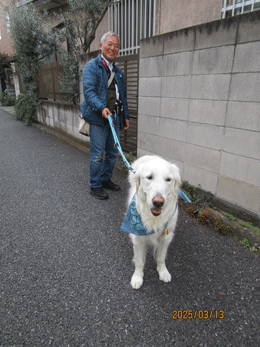 250313inu-3.gif