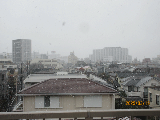250319yuki-3.gif